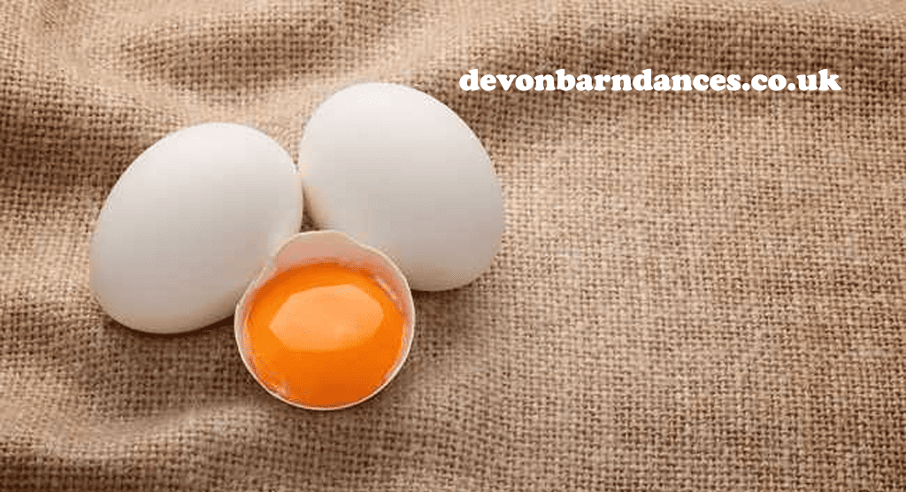 devonbarndances.co