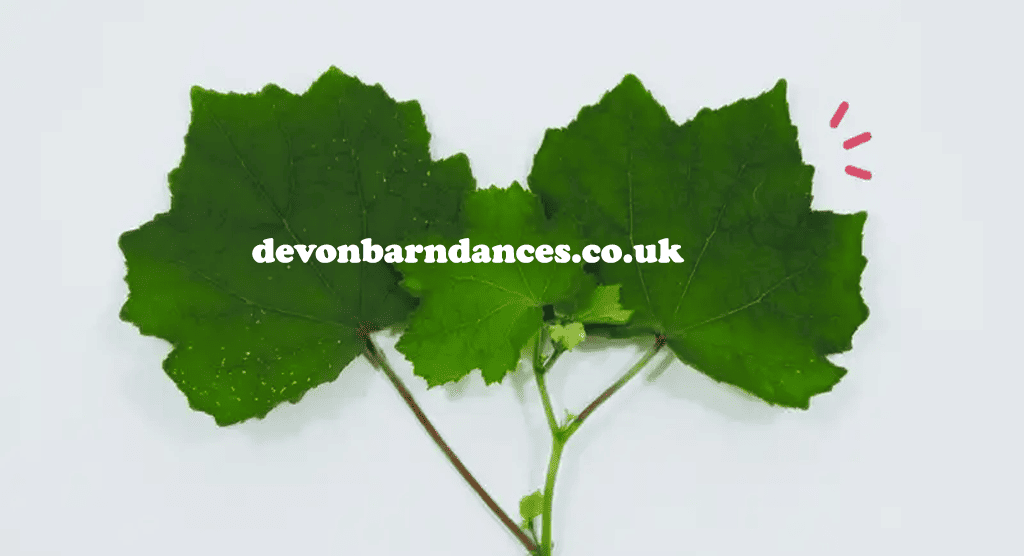 devonbarndances.co