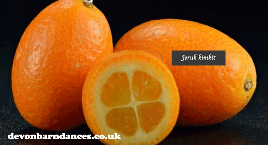 devonbarndances.co
