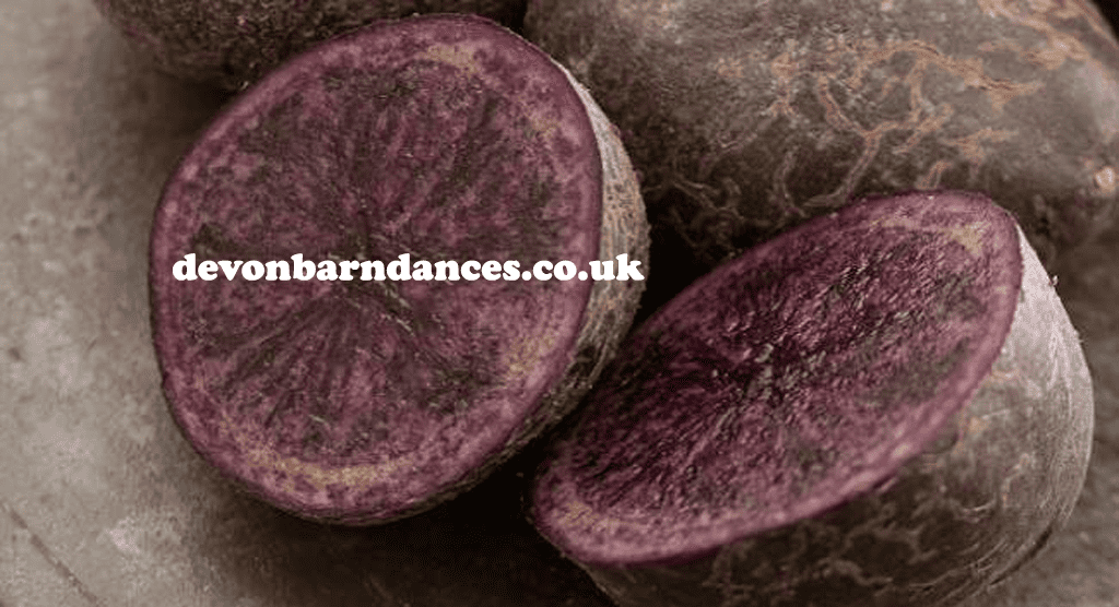 devonbarndances.co