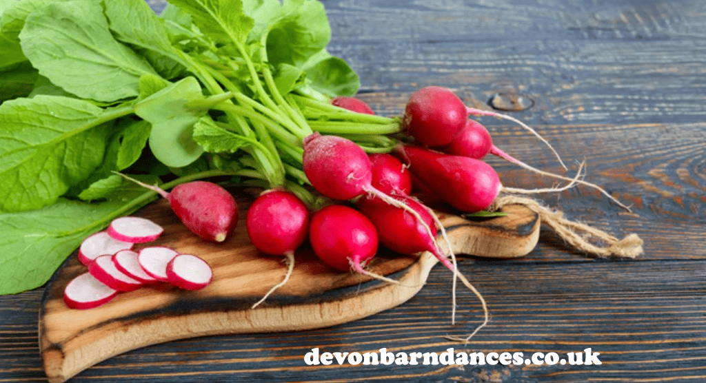 devonbarndances.co