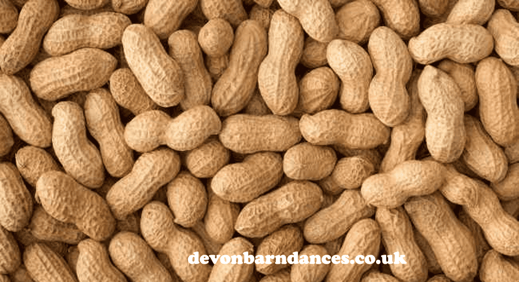 devonbarndances.co