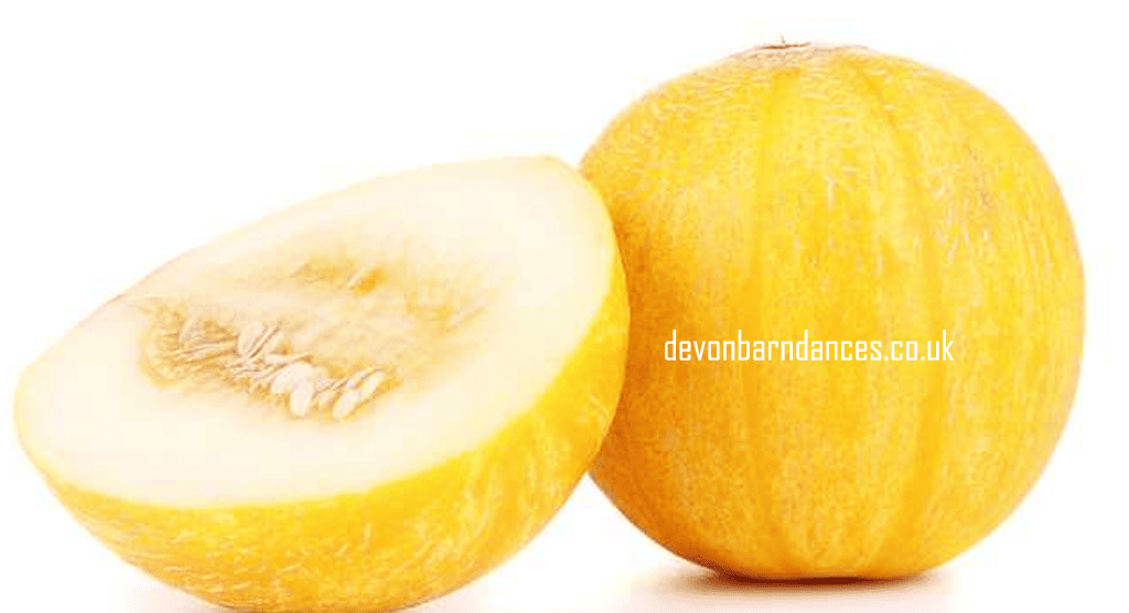 devonbarndances.co