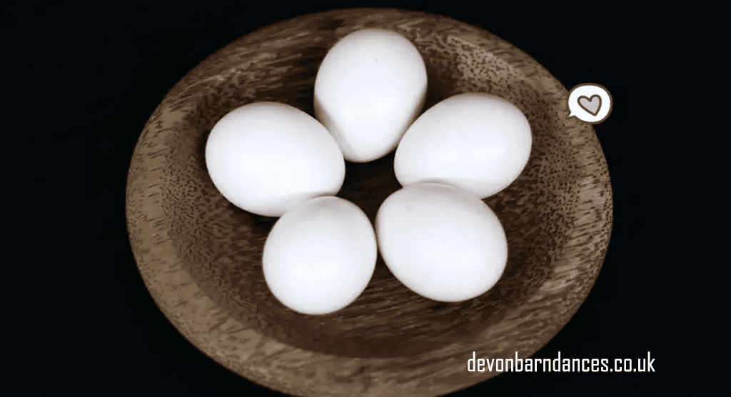 devonbarndances.co