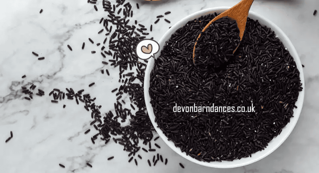 devonbarndances.co