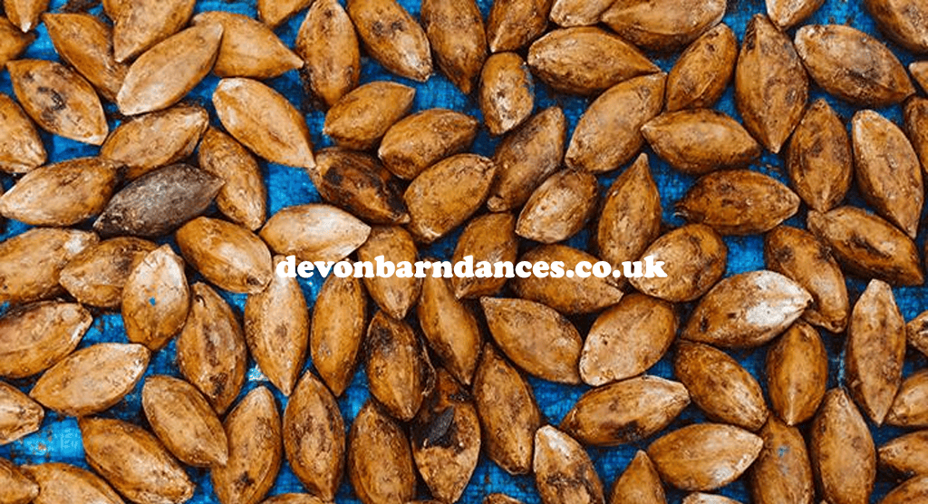 devonbarndances.co