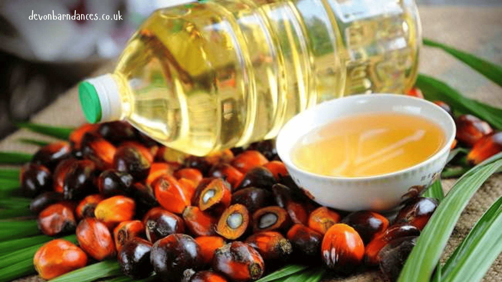 devonbarndances.co.uk