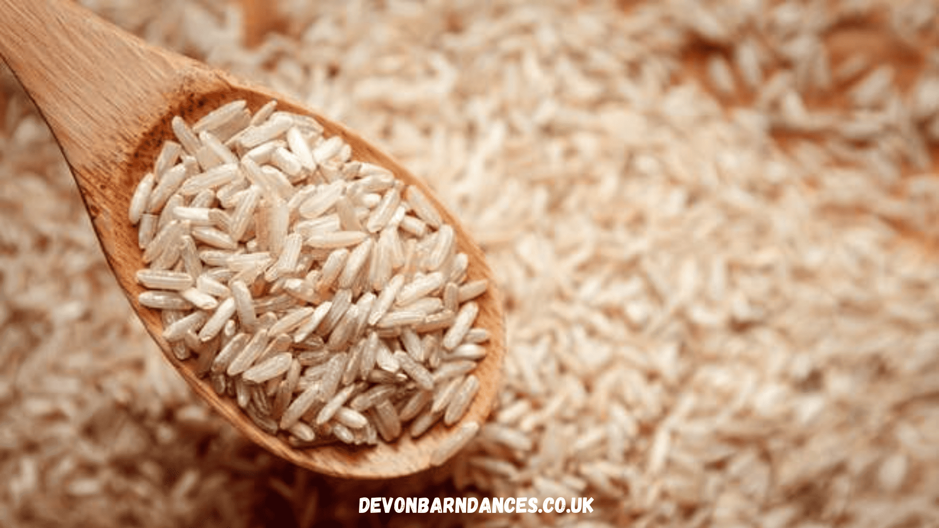 devonbarndances.co.uk