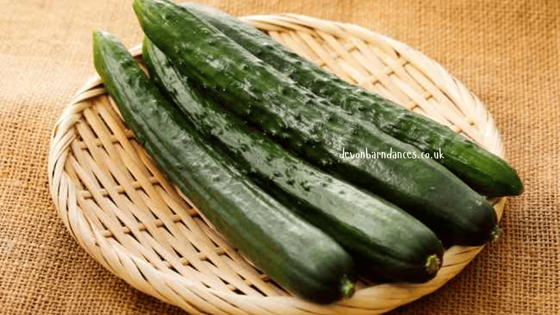 devonbarndances.co.uk