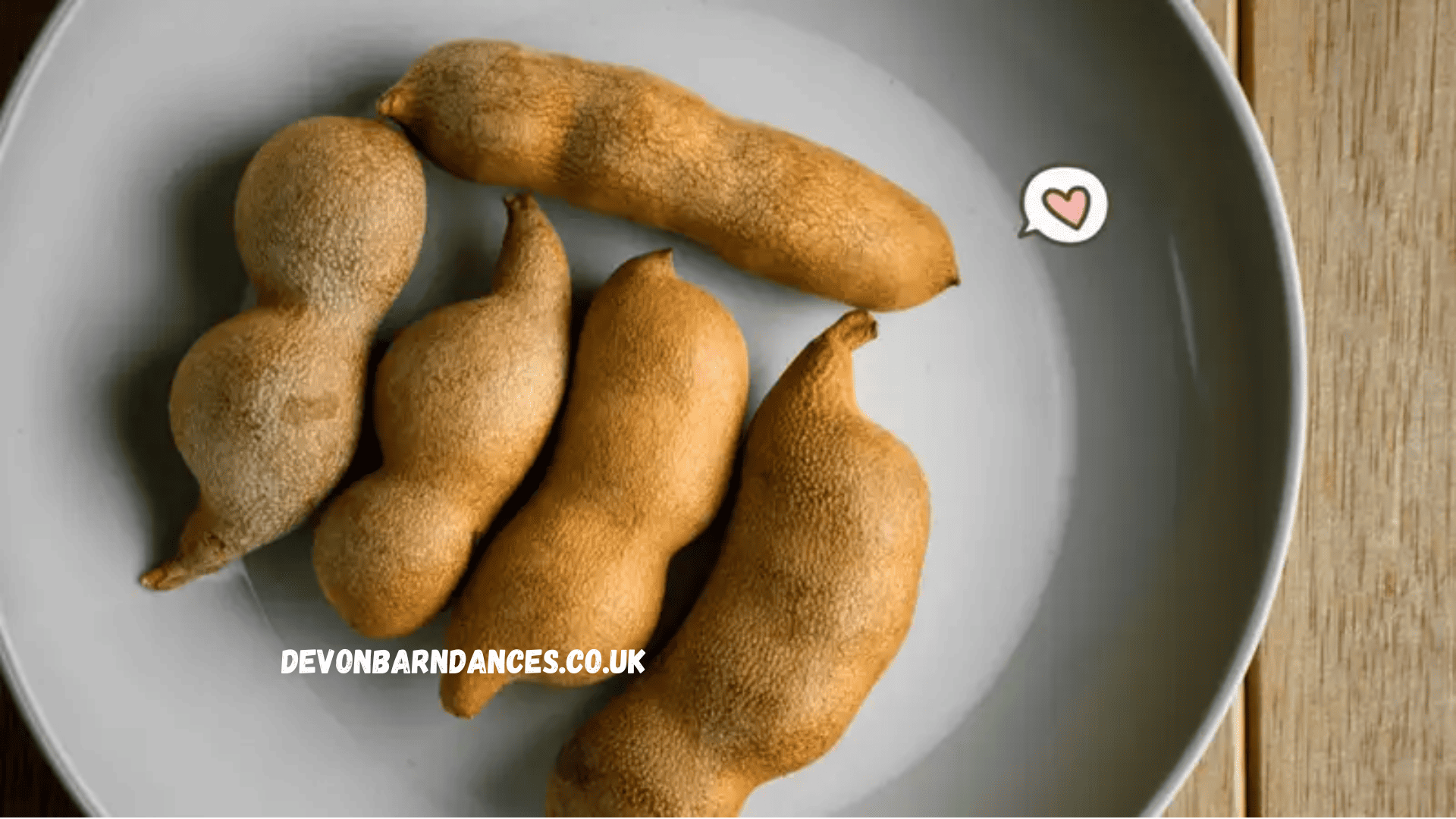 devonbarndances.co.uk