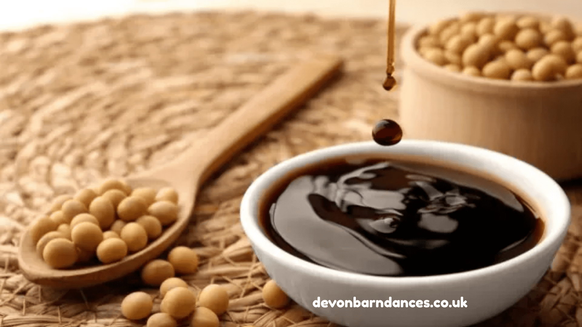 devonbarndances.co.uk