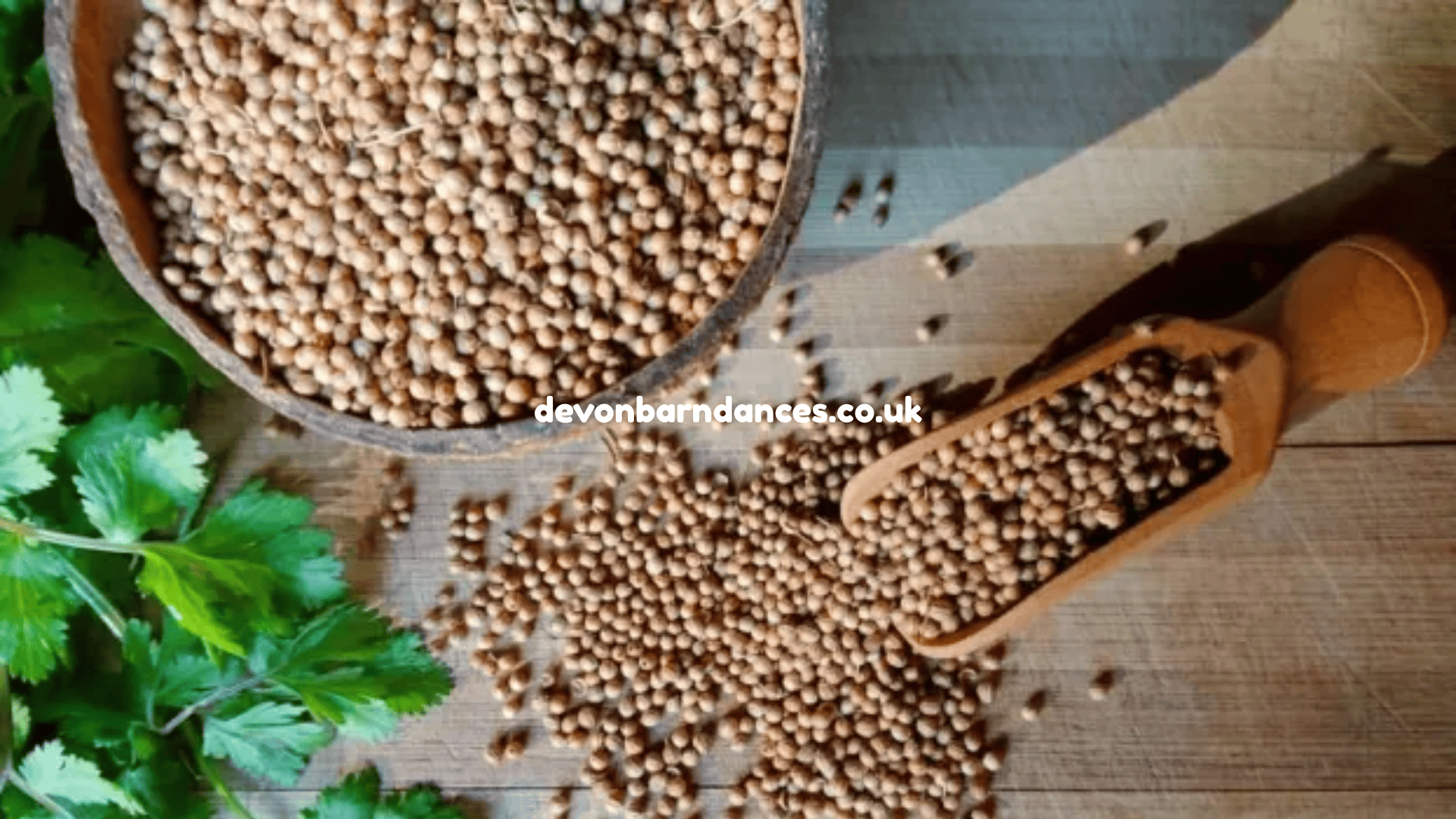 devonbarndances.co.uk