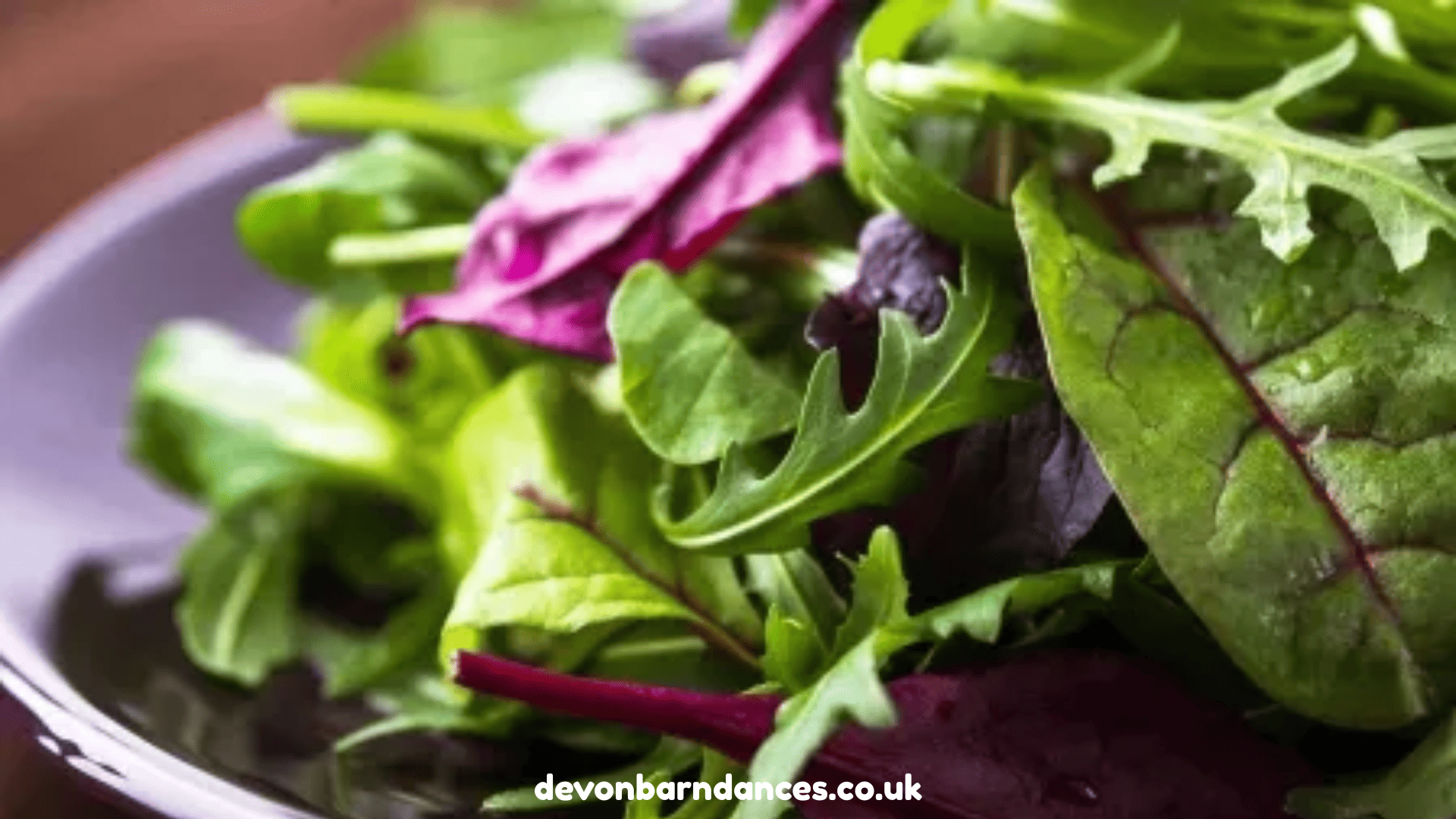 devonbarndances.co.uk