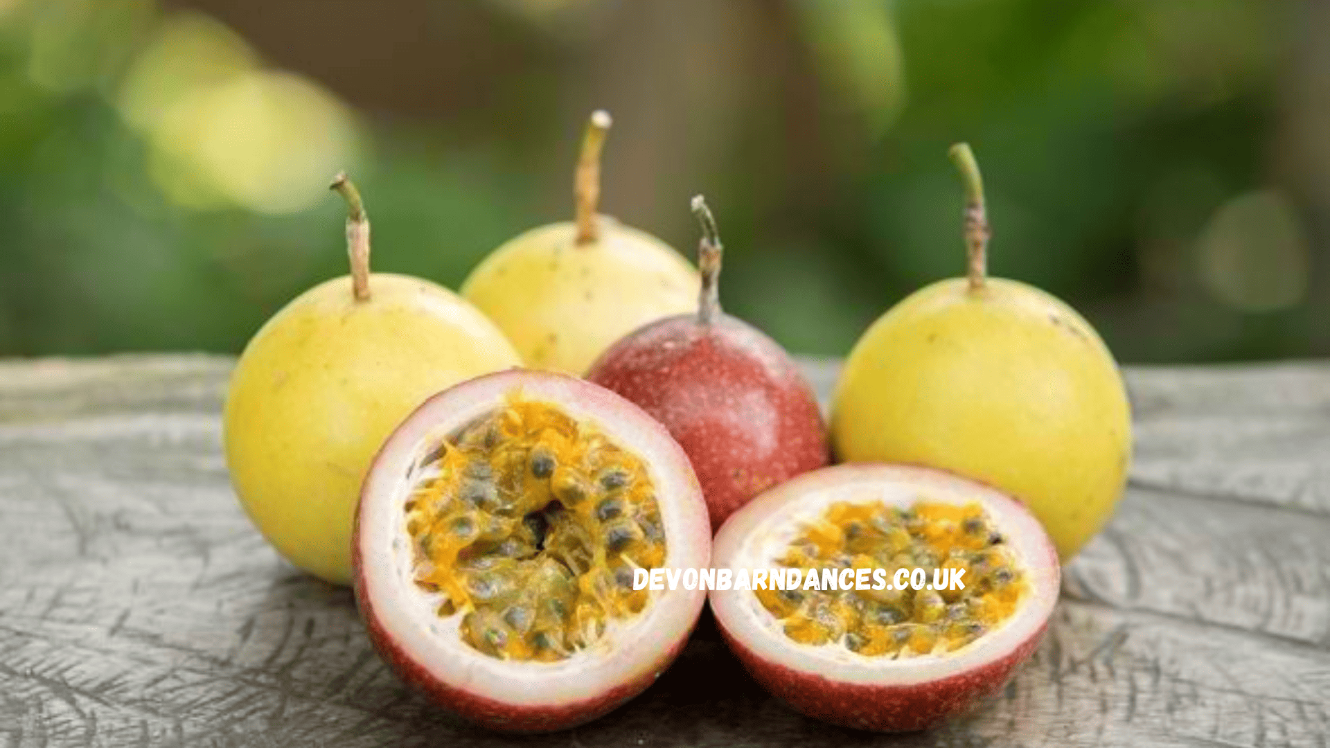 devonbarndances.co.uk