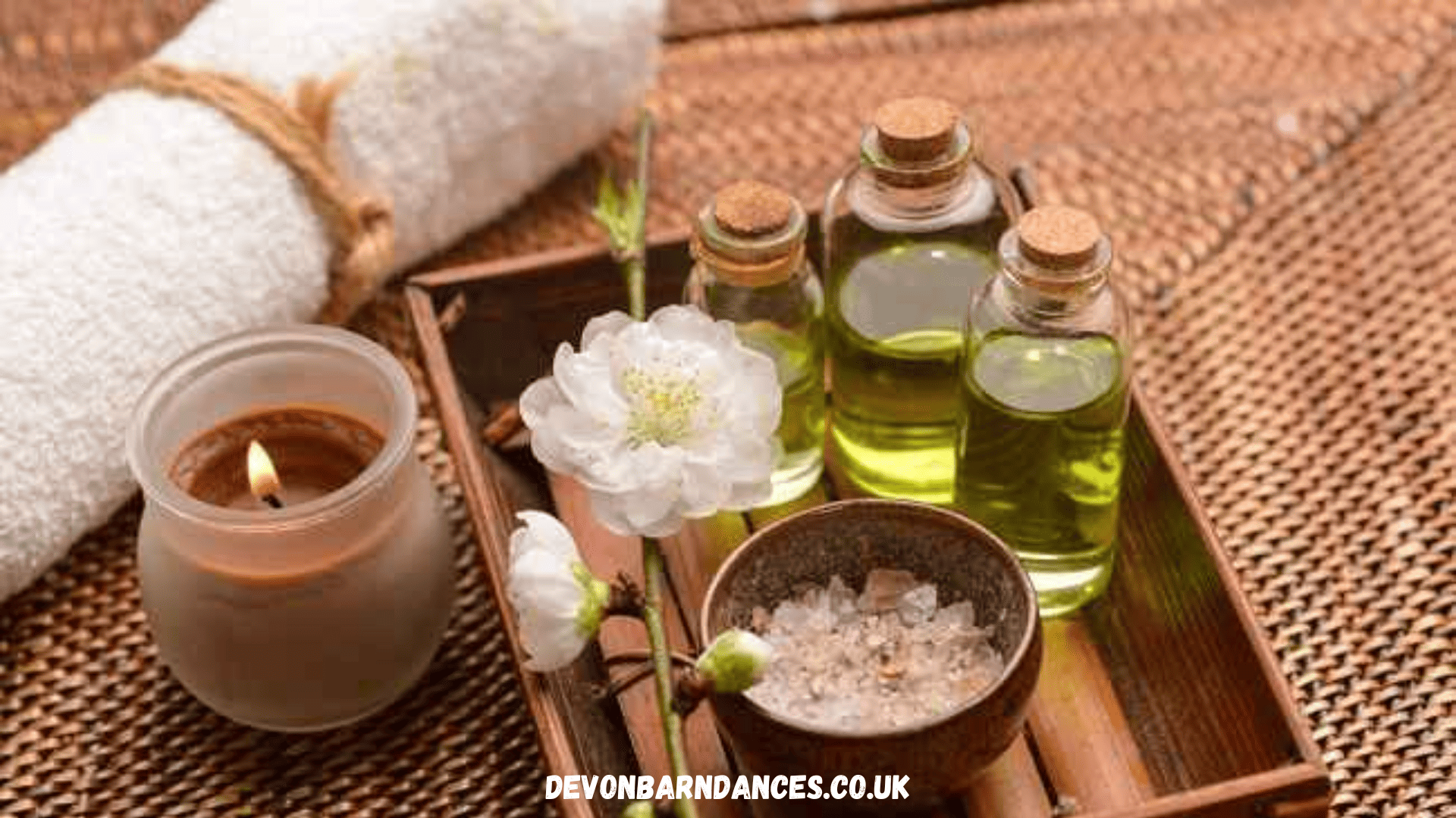 devonbarndances.co.uk