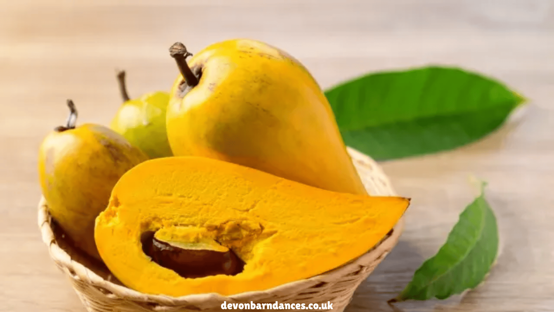 devonbarndances.co.uk (1)