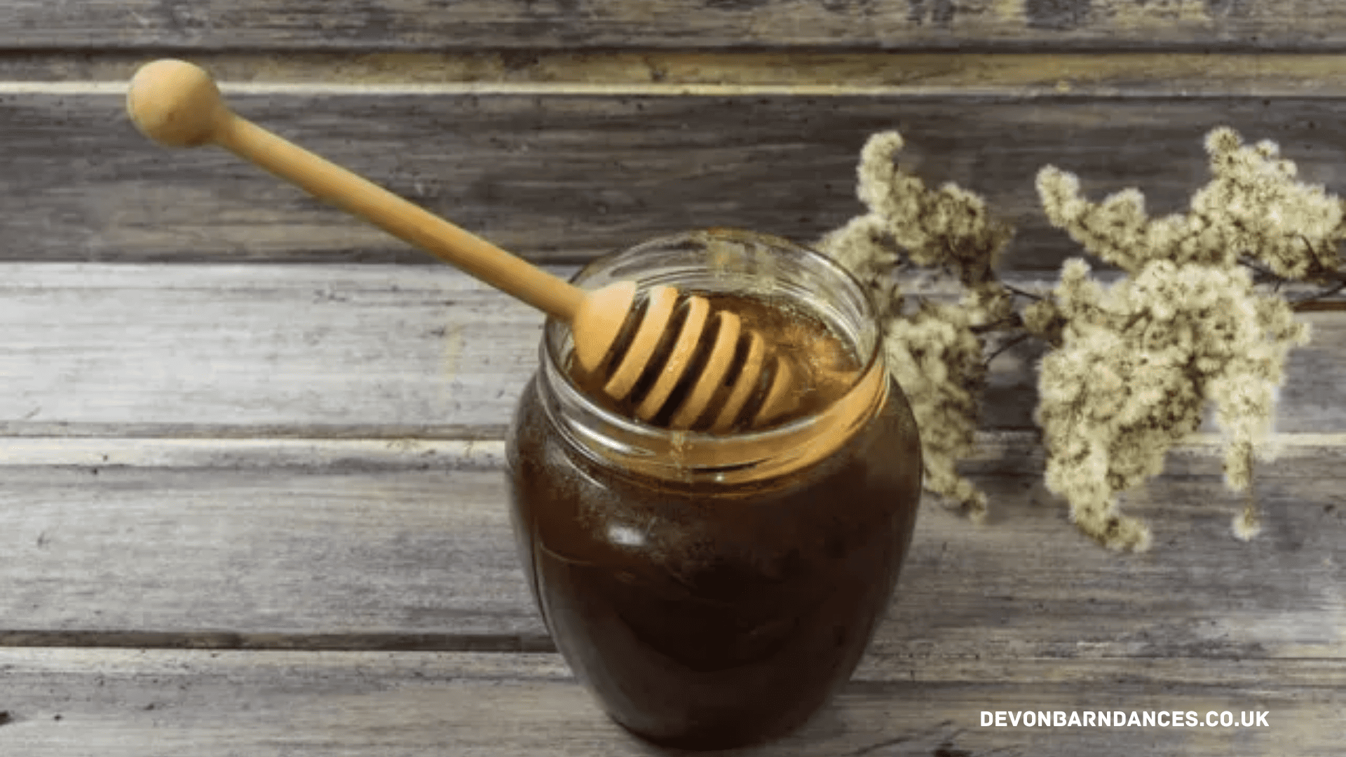 devonbarndances.co.uk