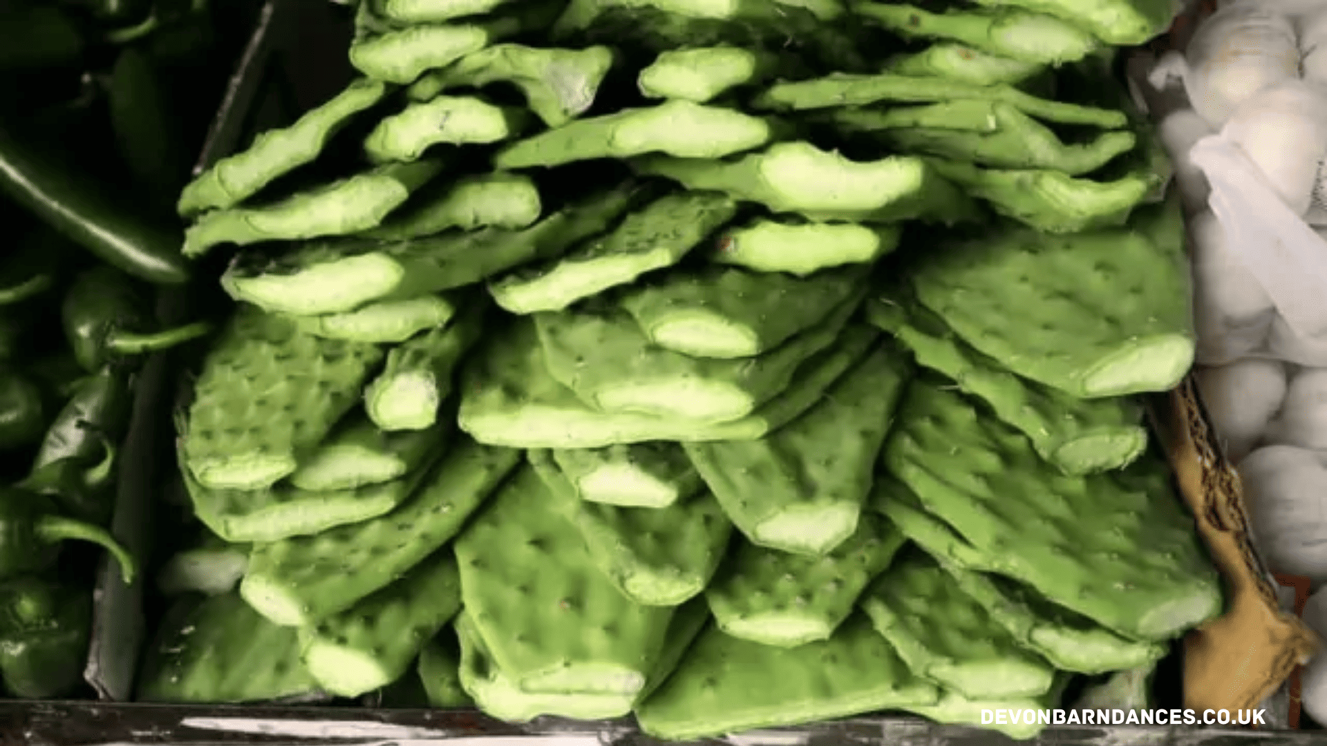 devonbarndances.co.uk