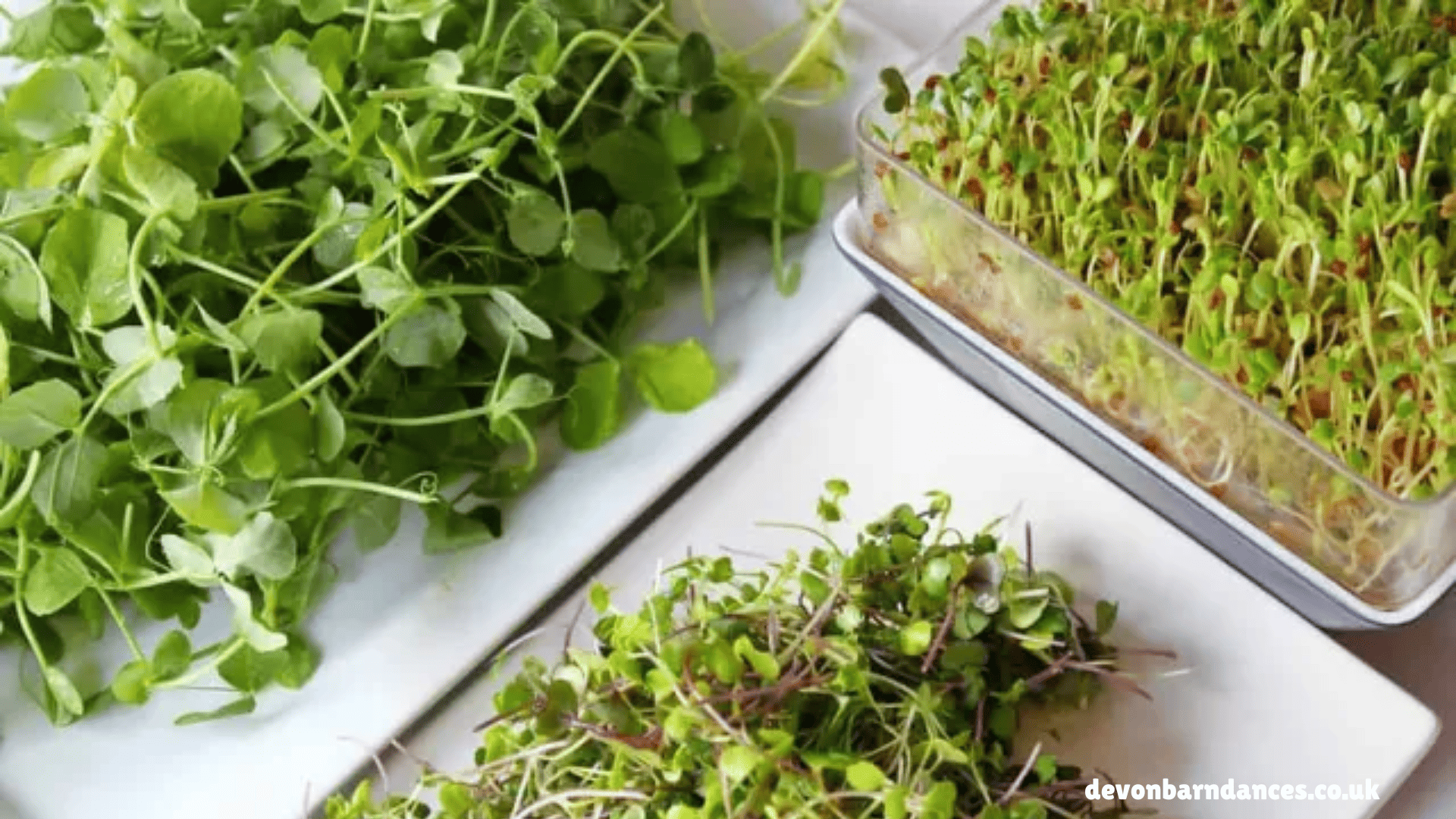 devonbarndances.co.uk