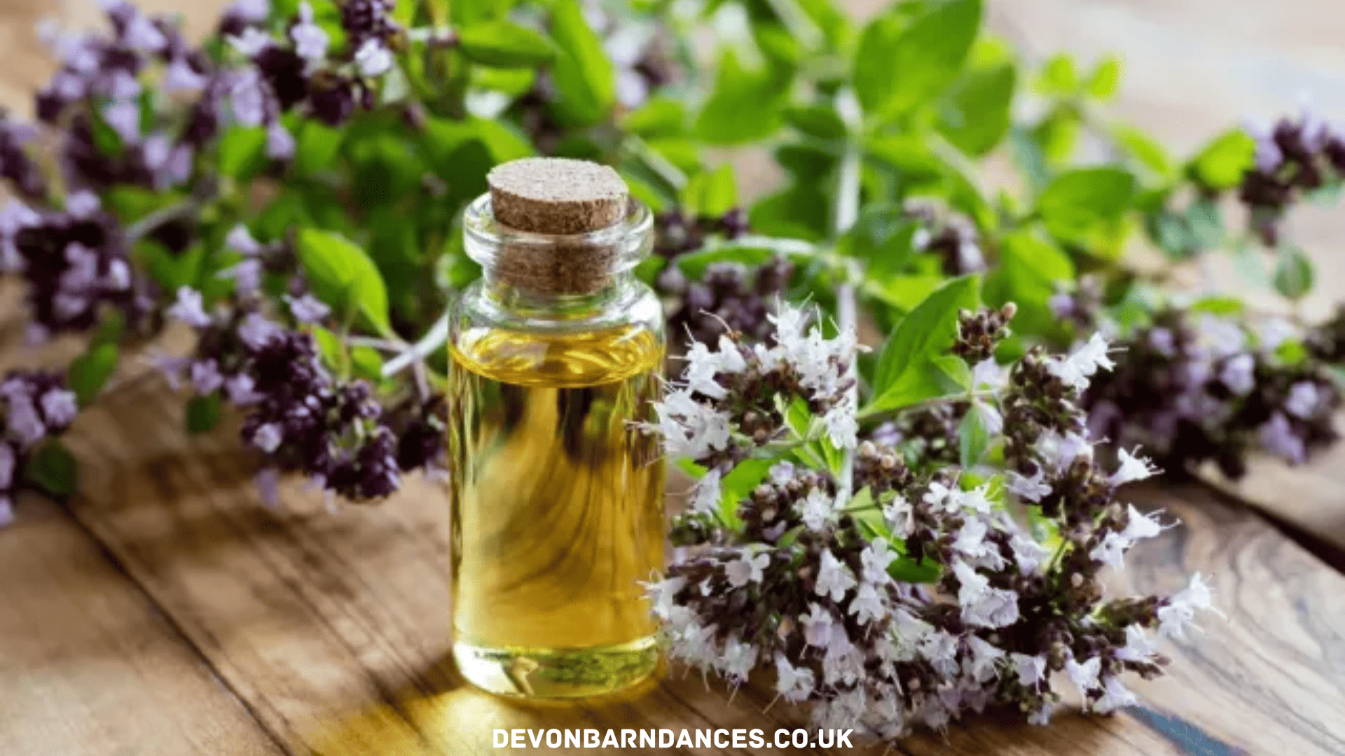 devonbarndances.co.uk