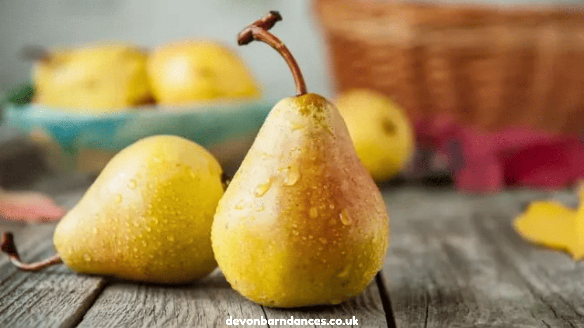 devonbarndances.co.uk