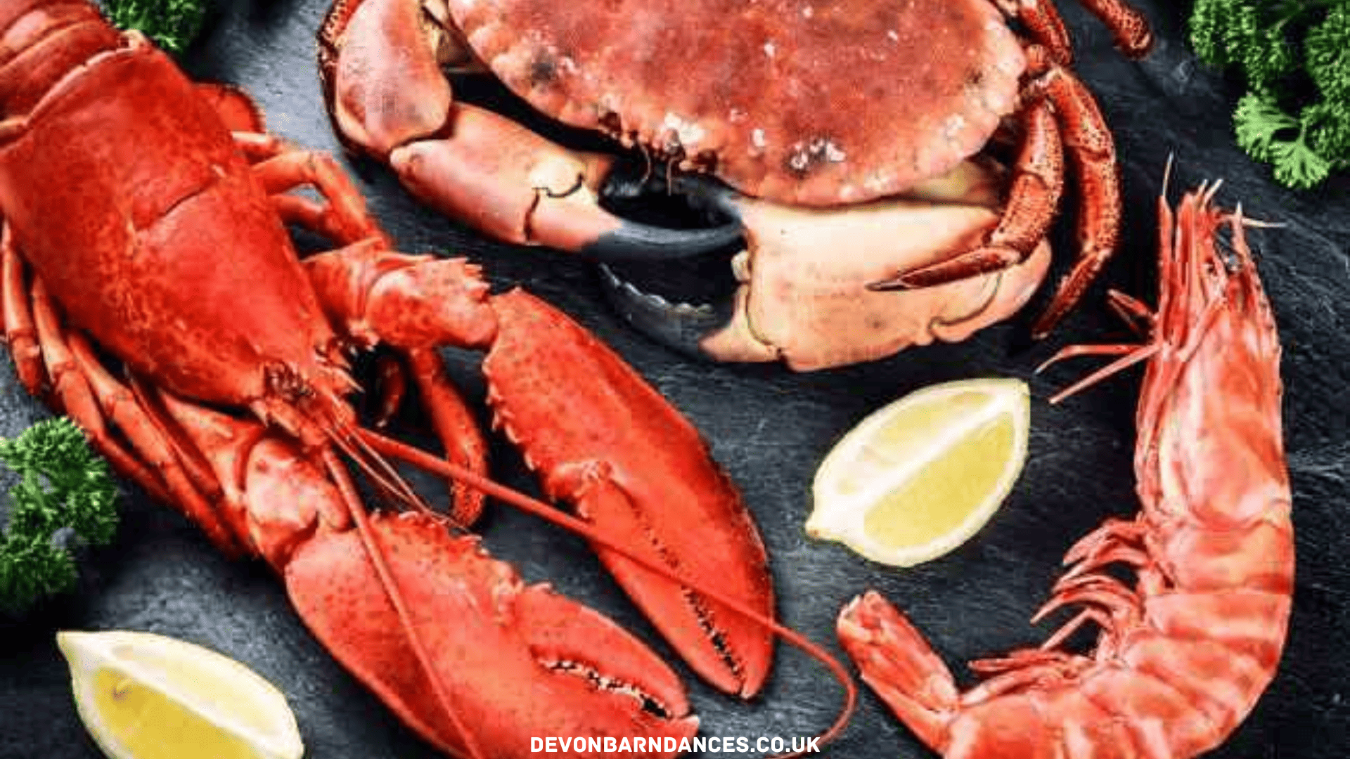 devonbarndances.co.uk