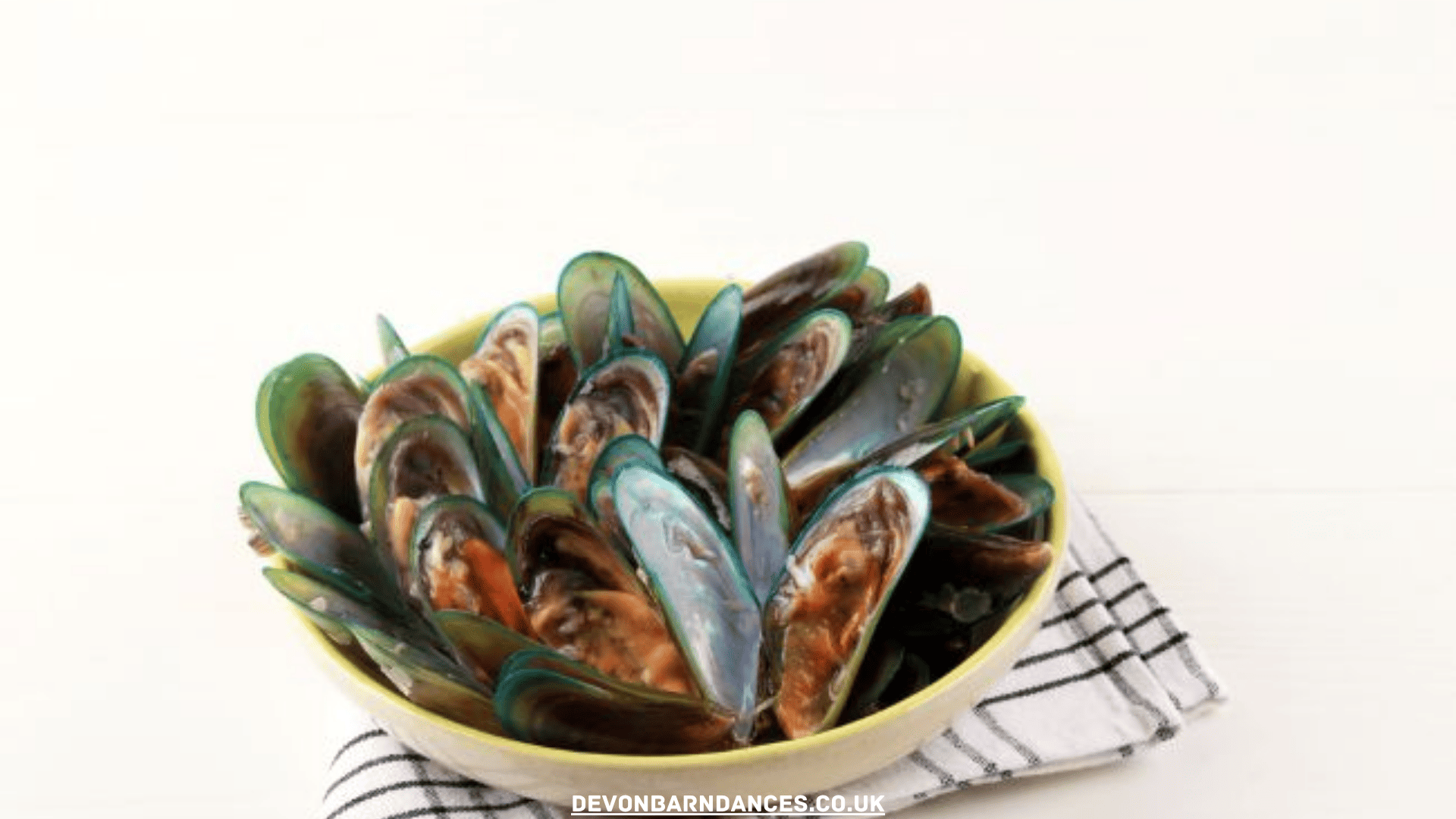 devonbarndances.co.uk