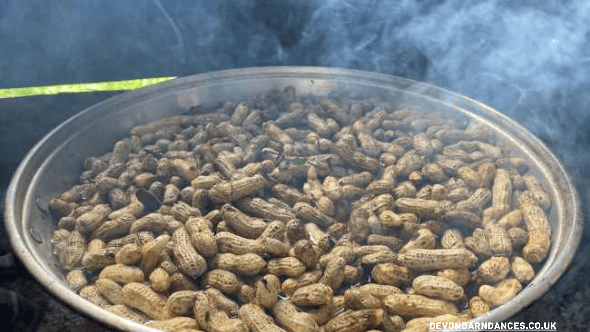 devonbarndances.co.uk