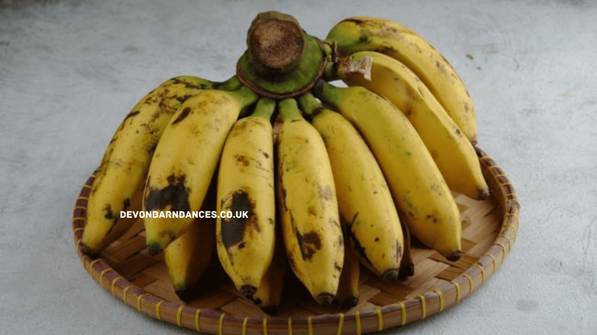 devonbarndances.co.uk